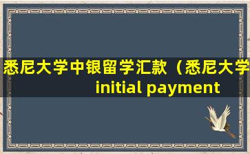 悉尼大学中银留学汇款（悉尼大学initial payment）